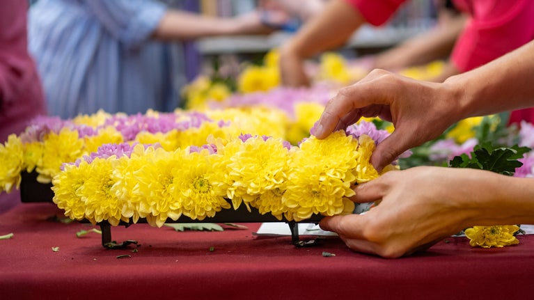 A brightly coloured floral wreath held in two hands